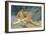 A Male Nude Reclining on Rocks (Oil on Canvas Board)-Henry Scott Tuke-Framed Giclee Print