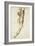 A Male Nude Seen from Behind, Study for the Battle of Cascina-null-Framed Giclee Print