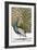 A Male Peacock in Full Display-Johann Leonhard Frisch-Framed Giclee Print