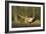 A Male Pheasant-Duncan Shaw-Framed Photographic Print