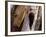 A Male Pileated Woodpecker Looks Around Before Boring into the Trunk of a Dead Pine-null-Framed Photographic Print