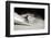 A Male Skier Travels Down the Slopes at Snowbird, Utah-Adam Barker-Framed Photographic Print