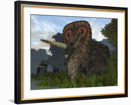 A Male Torosaurus Drinks from a River-Stocktrek Images-Framed Photographic Print