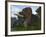 A Male Torosaurus Drinks from a River-Stocktrek Images-Framed Photographic Print