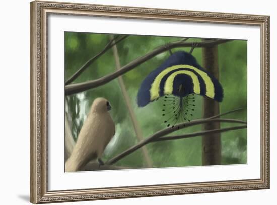 A Male Xiaotingia Zhengi Bird Tries to Surprise a Female-Stocktrek Images-Framed Art Print