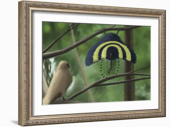 A Male Xiaotingia Zhengi Bird Tries to Surprise a Female-Stocktrek Images-Framed Art Print