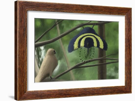 A Male Xiaotingia Zhengi Bird Tries to Surprise a Female-Stocktrek Images-Framed Art Print