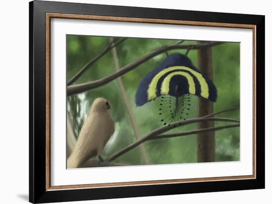 A Male Xiaotingia Zhengi Bird Tries to Surprise a Female-Stocktrek Images-Framed Art Print