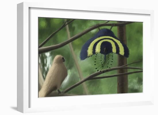 A Male Xiaotingia Zhengi Bird Tries to Surprise a Female-Stocktrek Images-Framed Art Print