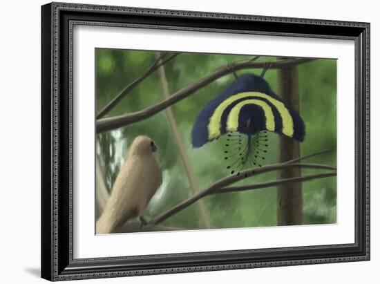 A Male Xiaotingia Zhengi Bird Tries to Surprise a Female-Stocktrek Images-Framed Art Print