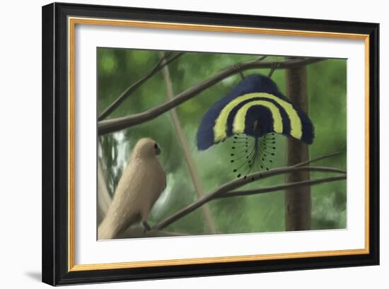 A Male Xiaotingia Zhengi Bird Tries to Surprise a Female-Stocktrek Images-Framed Art Print