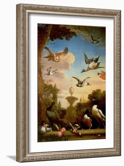 A Mallard and a Golden Eagle in a Classical Garden Landscape-Melchior de Hondecoeter-Framed Giclee Print