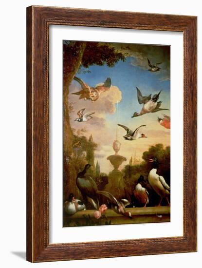 A Mallard and a Golden Eagle in a Classical Garden Landscape-Melchior de Hondecoeter-Framed Giclee Print