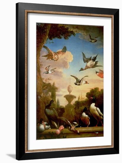 A Mallard and a Golden Eagle in a Classical Garden Landscape-Melchior de Hondecoeter-Framed Giclee Print