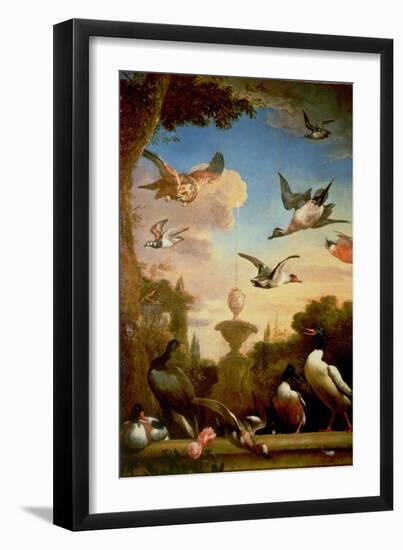 A Mallard and a Golden Eagle in a Classical Garden Landscape-Melchior de Hondecoeter-Framed Giclee Print