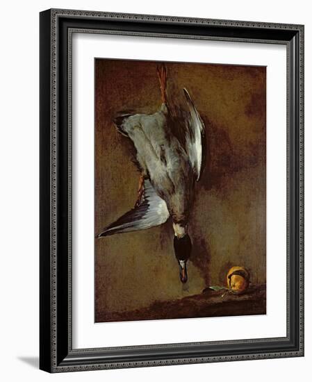 A Mallard Duck hanging on a wall with a Seville orange, 1720-30-Jean-Baptiste Simeon Chardin-Framed Giclee Print