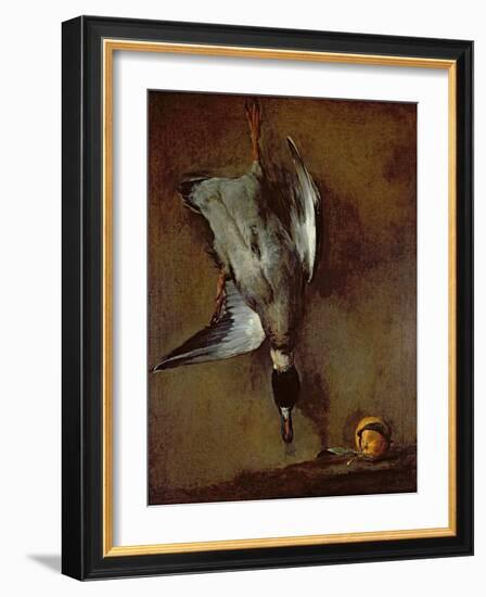 A Mallard Duck hanging on a wall with a Seville orange, 1720-30-Jean-Baptiste Simeon Chardin-Framed Giclee Print