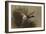 A Mallard Rising from Reeds-Archibald Thorburn-Framed Giclee Print