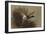 A Mallard Rising from Reeds-Archibald Thorburn-Framed Giclee Print