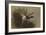 A Mallard Rising from Reeds-Archibald Thorburn-Framed Giclee Print