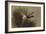 A Mallard Rising from Reeds-Archibald Thorburn-Framed Giclee Print