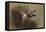 A Mallard Rising from Reeds-Archibald Thorburn-Framed Premier Image Canvas