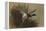 A Mallard Rising from Reeds-Archibald Thorburn-Framed Premier Image Canvas