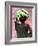 A Malnourished Hutu Refugee Returns to His Family-null-Framed Photographic Print