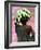 A Malnourished Hutu Refugee Returns to His Family-null-Framed Photographic Print