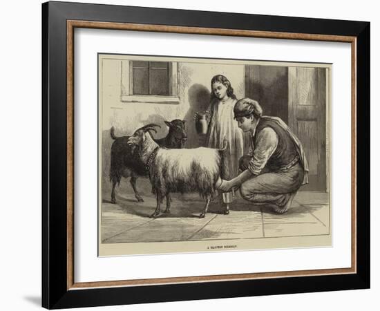 A Maltese Milkman-null-Framed Giclee Print