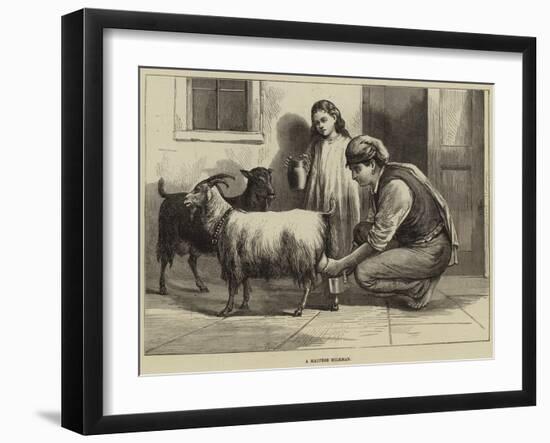 A Maltese Milkman-null-Framed Giclee Print