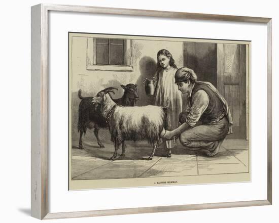 A Maltese Milkman-null-Framed Giclee Print