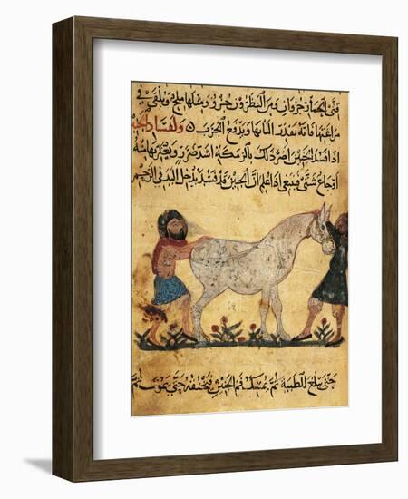 A Man Assisting a Mare Giving Birth to a Foal, Miniature from a Treatise on Horses-null-Framed Giclee Print