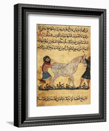 A Man Assisting a Mare Giving Birth to a Foal, Miniature from a Treatise on Horses-null-Framed Giclee Print