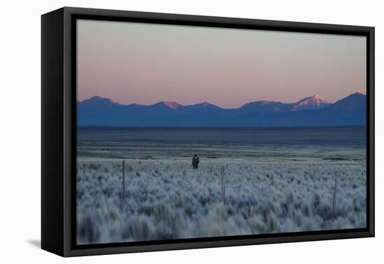 A Man at Dusk Crosses the Wilderness of the Sajama National Park, Bolivia-Alex Saberi-Framed Premier Image Canvas