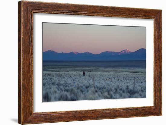 A Man at Dusk Crosses the Wilderness of the Sajama National Park, Bolivia-Alex Saberi-Framed Photographic Print