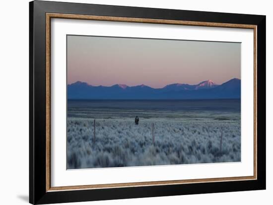 A Man at Dusk Crosses the Wilderness of the Sajama National Park, Bolivia-Alex Saberi-Framed Photographic Print