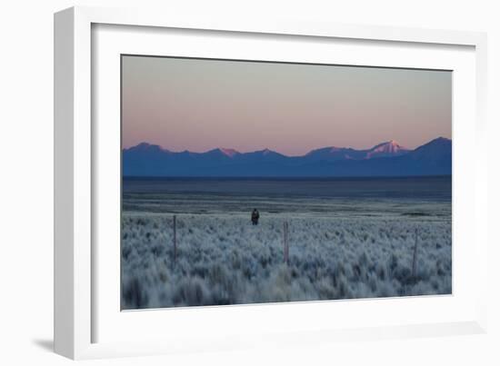 A Man at Dusk Crosses the Wilderness of the Sajama National Park, Bolivia-Alex Saberi-Framed Photographic Print