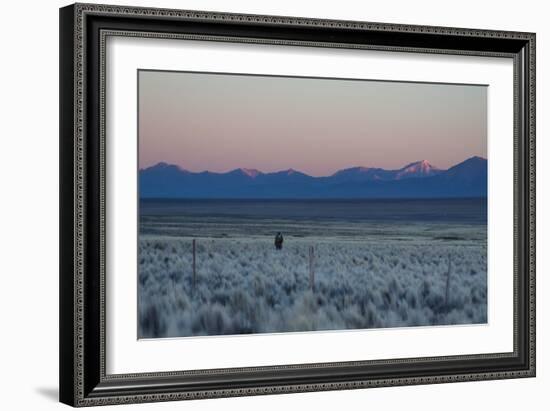 A Man at Dusk Crosses the Wilderness of the Sajama National Park, Bolivia-Alex Saberi-Framed Photographic Print