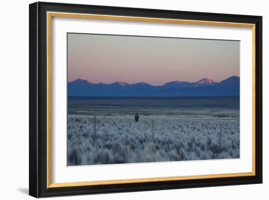 A Man at Dusk Crosses the Wilderness of the Sajama National Park, Bolivia-Alex Saberi-Framed Photographic Print