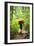 A Man Carries A Canoe Along The Portage Trail To The Priest Lake Thoroughfare-Ben Herndon-Framed Photographic Print