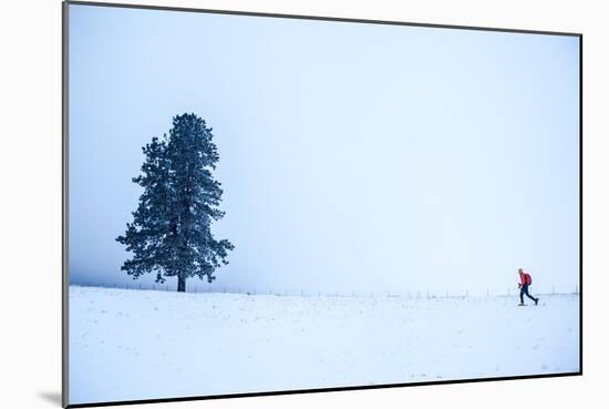 A Man Cross Country Skiing On The Palouse Near Moscow, Idaho-Ben Herndon-Mounted Photographic Print