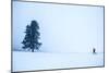 A Man Cross Country Skiing On The Palouse Near Moscow, Idaho-Ben Herndon-Mounted Photographic Print