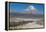 A Man Cycles in the Shadow of Sajama Volcano in Sajama National Park-Alex Saberi-Framed Premier Image Canvas