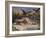 A Man-Eater, 1870s-1880s-Vasili Vasilyevich Vereshchagin-Framed Giclee Print