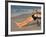 A Man Fishes from His Deck Chair in Platypus Bay on Fraser Island's West Coast, Australia-Andrew Watson-Framed Photographic Print