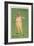 A Man of Cheques: a Fat Wealthy Man Wearing a Checked Suit (Chromolitho)-Dudley Hardy-Framed Giclee Print