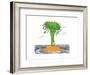 A man on a desert island that's actually a giant carrot, being circled by ... - New Yorker Cartoon-Pat Byrnes-Framed Premium Giclee Print