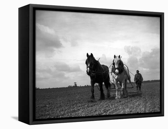 A Man on a Farm Harvesting in a Field with His Two Horses-null-Framed Premier Image Canvas