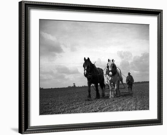 A Man on a Farm Harvesting in a Field with His Two Horses-null-Framed Photographic Print